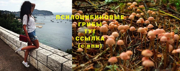 бошки Алексин
