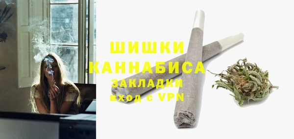 бошки Алексин