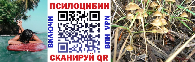 Псилоцибиновые грибы мухоморы  OMG ТОР  Киселёвск 