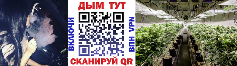 Шишки марихуана план  где купить   Киселёвск 